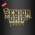 Beautiful Iron ons SENIOR DRIP 2022 Glitter Transfers for Garment