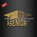 Bling Glitter Vinyl Iron ons SENIOR 2022 for T Shirt